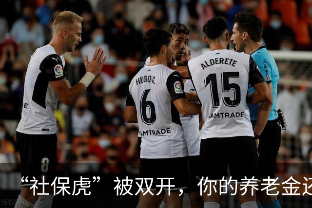 “社保虎”被双开，你的养老金还好吗？