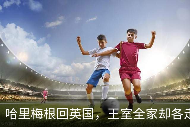 哈里梅根回英国，王室全家却各走各路！兄弟和解无望？