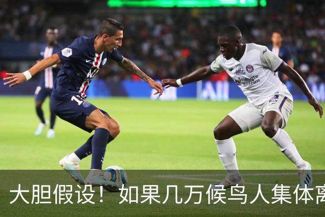 大胆假设！如果几万候鸟人集体离开坡月，后果真的不堪设想
