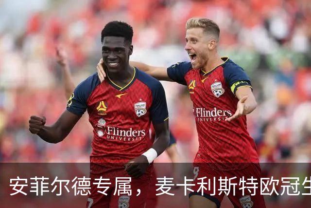 安菲尔德专属，麦卡利斯特欧冠生涯7球全部在主场打进