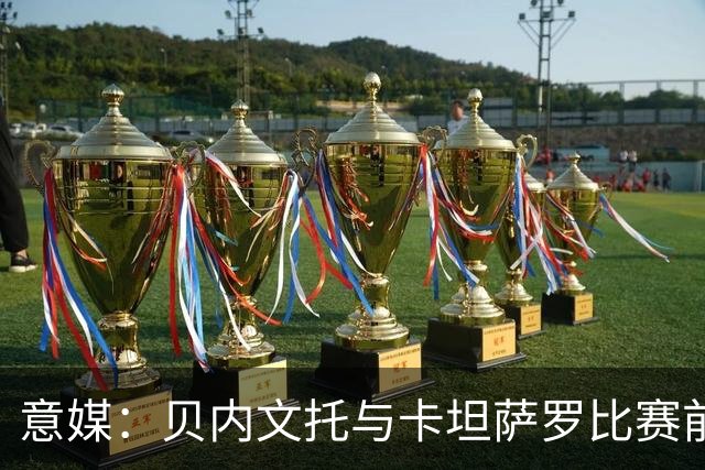 意媒：贝内文托与卡坦萨罗比赛前，有球员昏倒导致比赛推迟15分钟