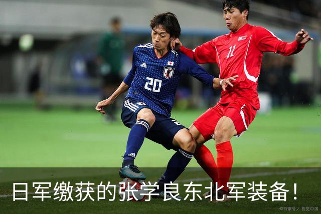 日军缴获的张学良东北军装备！