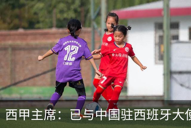 西甲主席：已与中国驻西班牙大使会面 寻求解决办法