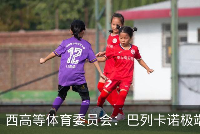西高等体育委员会：巴列卡诺极端球迷被建议罚款+禁止入球场
