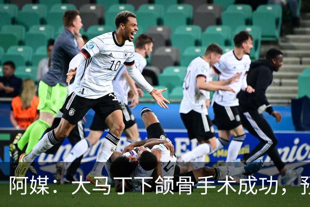 阿媒：大马丁下颌骨手术成功，预计将休战一个半月