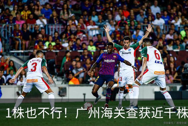 1株也不行！广州海关查获近千株盆栽，有625盆竟是“国宝级”植物